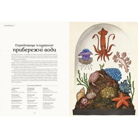 Книга "Анімаліум" - Брум Дженни Превью 6